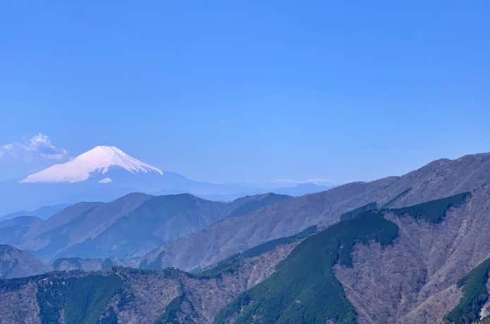丹沢表尾根からの富士山