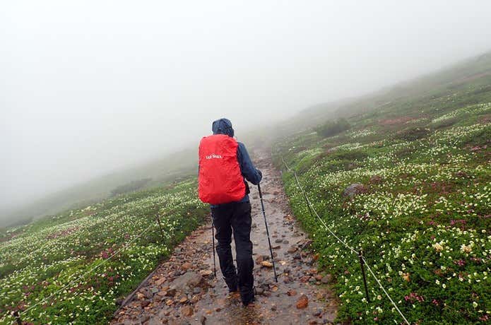 雨の夏登山