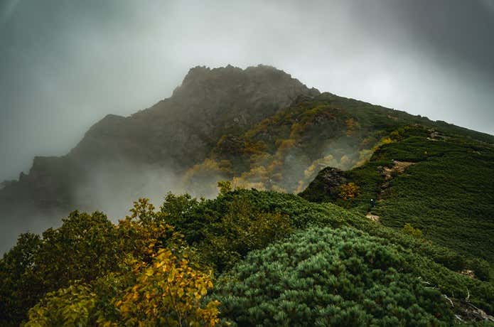 塩見岳山頂部
