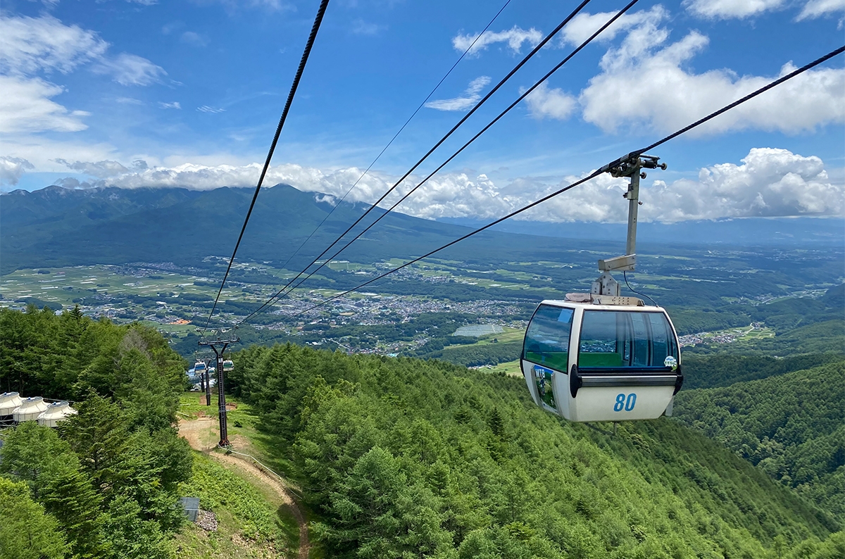 夏の入笠山