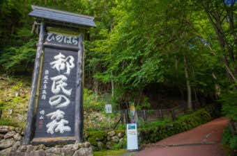 檜原都民の森
