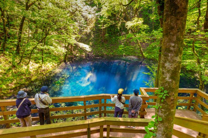 新緑の青池(十二湖・白神山地・青森県深浦町)