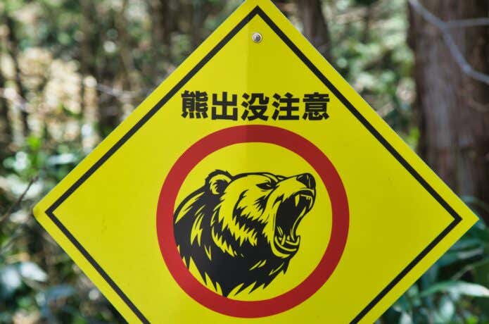 熊出没注意