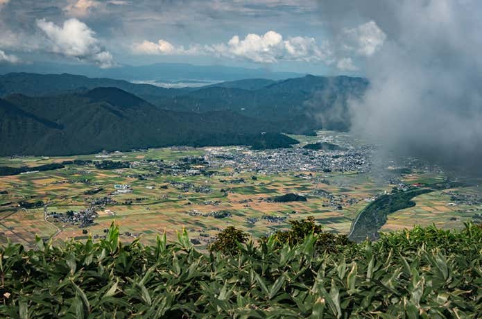 大野盆地
