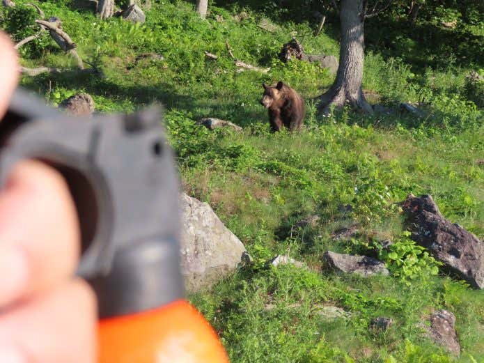 クマスプレー