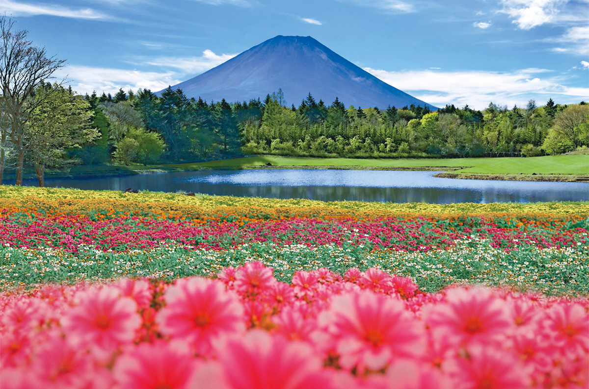富士本栖湖リゾート「虹の花まつり」