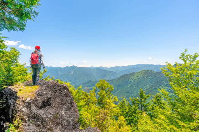 青々とした山の景色