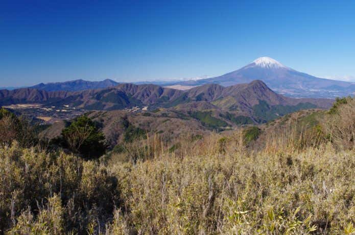 明神ヶ岳からの富士山と金時山