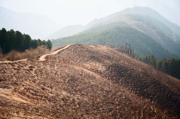 岩湧山