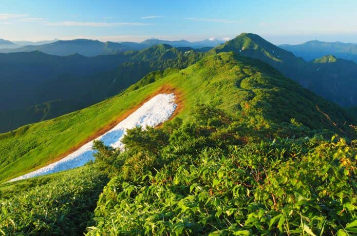越後駒ケ岳の雪渓