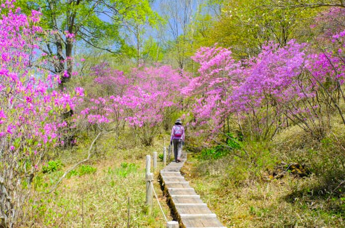 春の山歩き