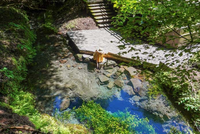 ②清らかな湧水と原生林に癒やされる「男池」
