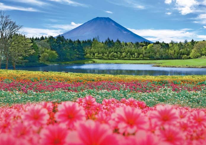 前日までの事前購入で、お得に入園ができる前売りチケット
