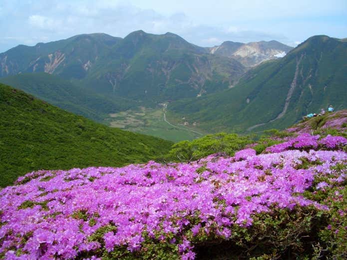 ①爽やかな稜線歩きが魅力の「くじゅう連山」