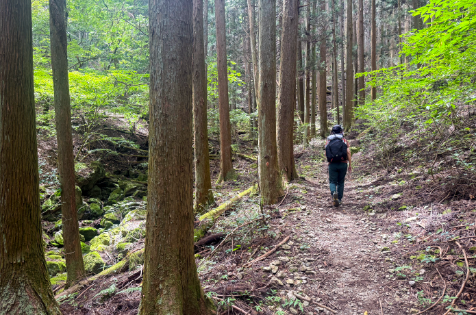 浅間嶺の登山ルート