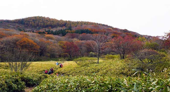 皿ヶ嶺(愛媛県)