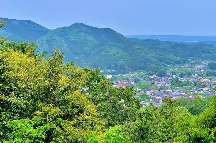 多峯主山から見た日和田山