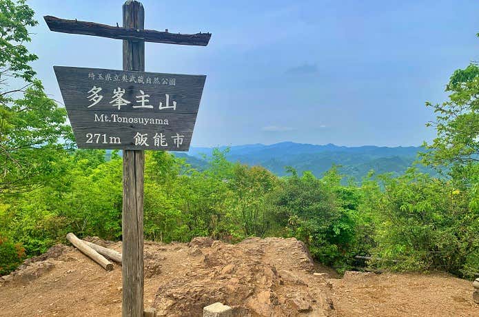 多峯主山から望む奥武蔵の山々
