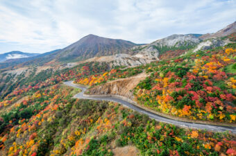 「磐梯吾妻スカイライン」の紅葉