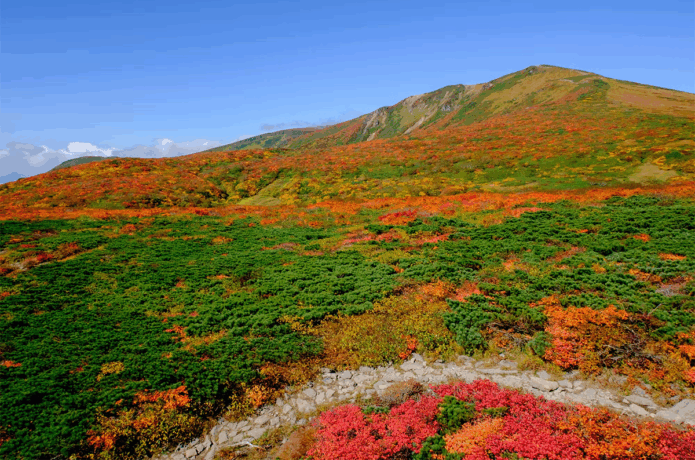 人気の紅葉登山スポットランキングTOP５
