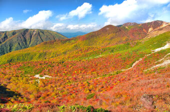 紅葉の美しさに感動した山、No.1は？
