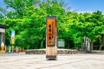 高尾山にツキノワグマが出没。入山前に注意事項の確認を
