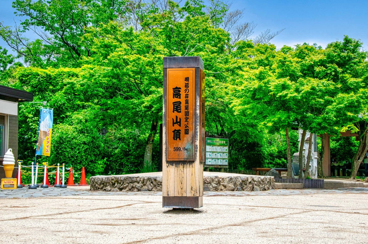 高尾山にツキノワグマが出没。入山前に注意事項の確認を