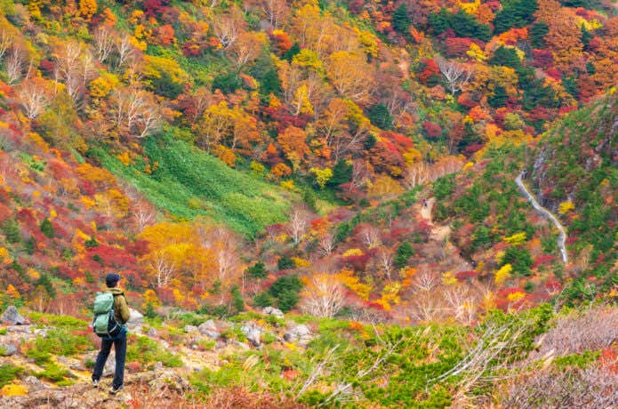 紅葉の山と登山者