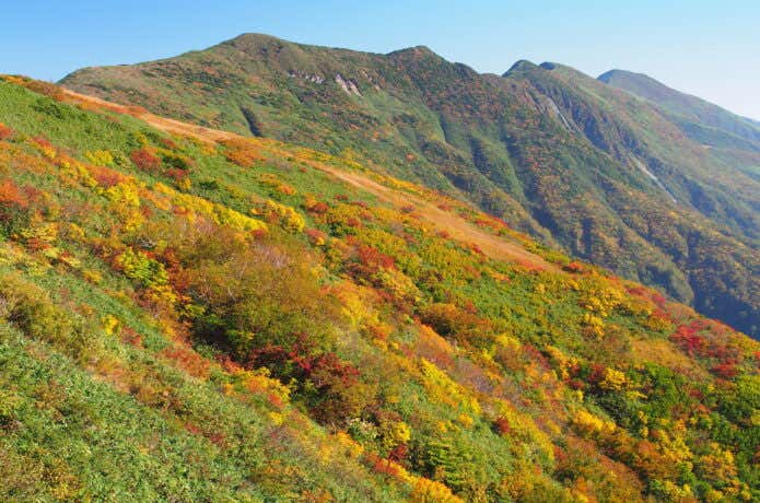 秋の巻機山