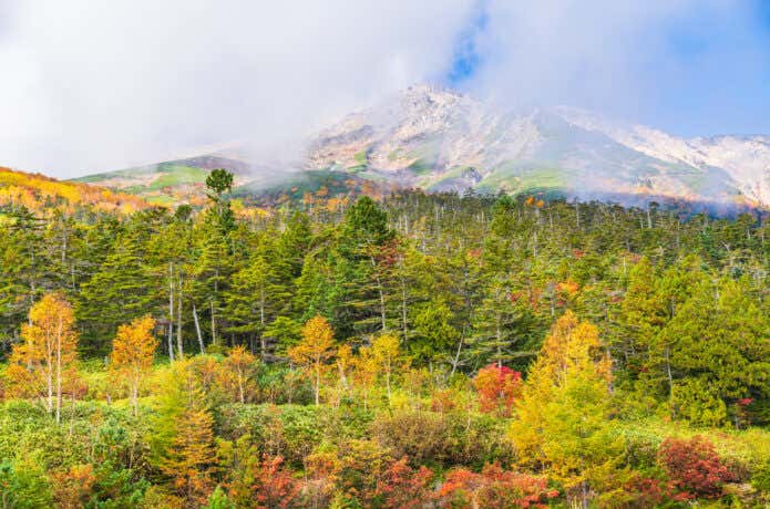 秋の御嶽山
