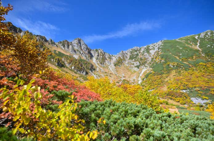 千畳敷カールの紅葉