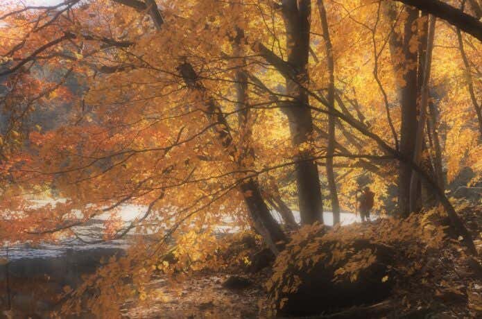 紅葉の森と登山者