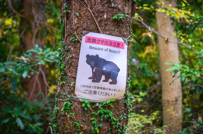 高尾山の熊出没注意の貼り紙