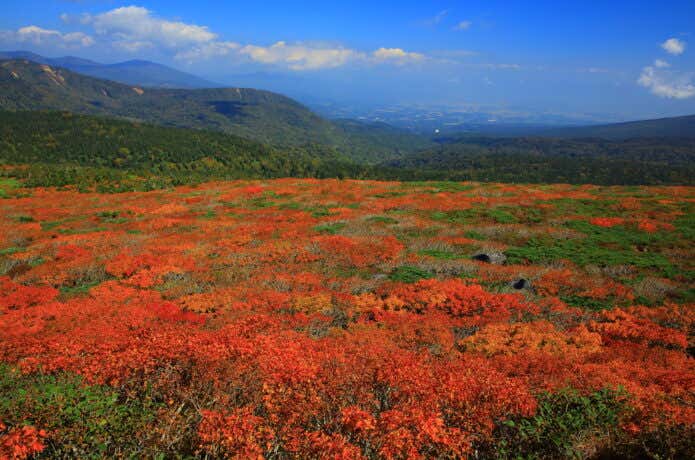 紅葉の三ツ石山