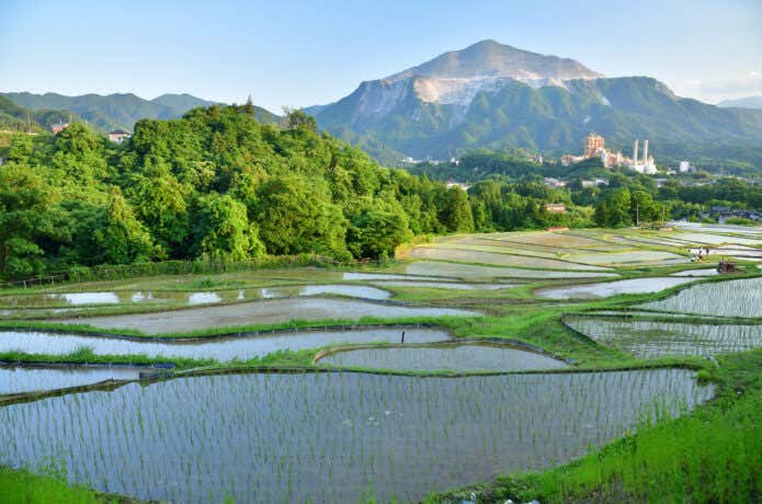 寺坂棚田からの武甲山