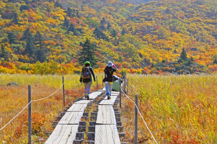 紅葉登山