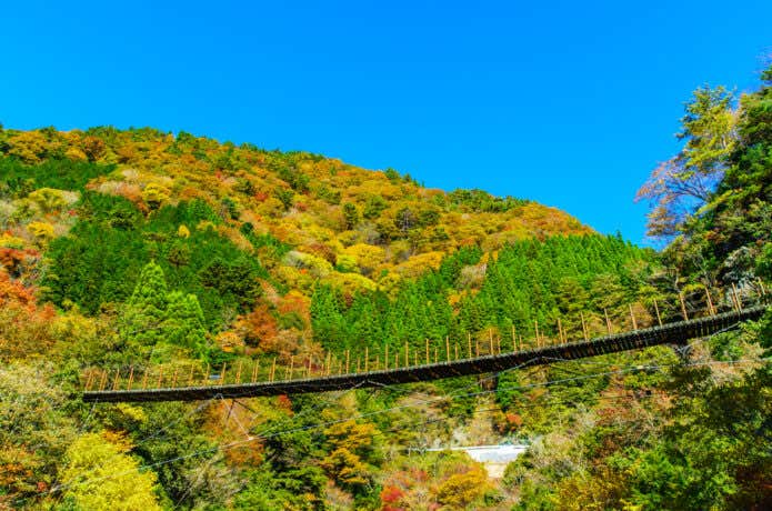 樅木吊橋の紅葉(熊本県八代市五家荘)