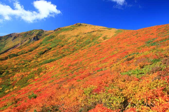 秋の栗駒山