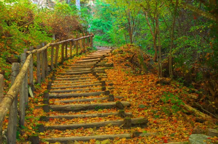 紅葉期の金剛山