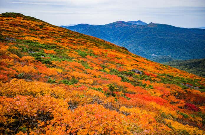三ツ石山の紅葉