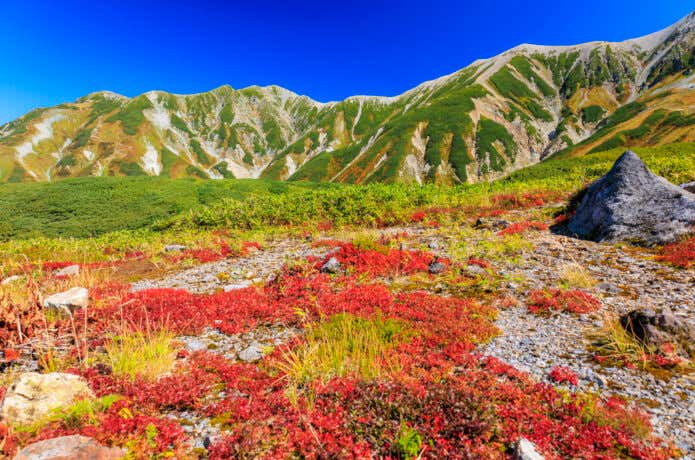紅葉の立山