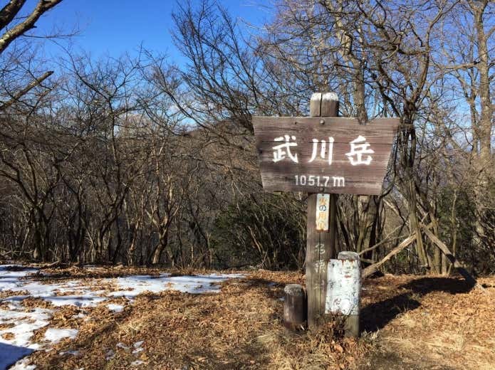 武川岳山頂