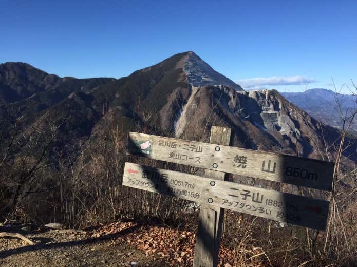 （焼山から望む武甲山）