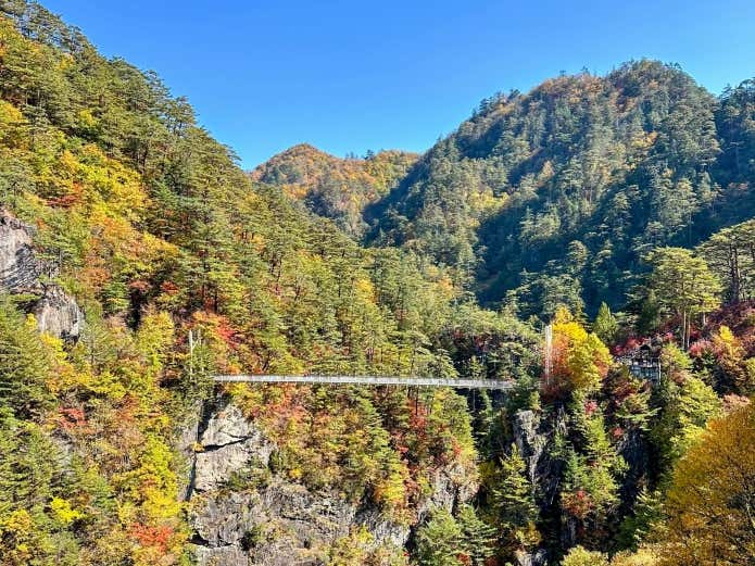 瀬戸合峡・渡らっしゃい吊橋