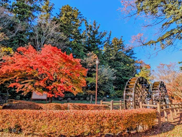 日光杉並木公園