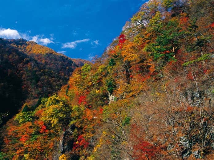 庚申山