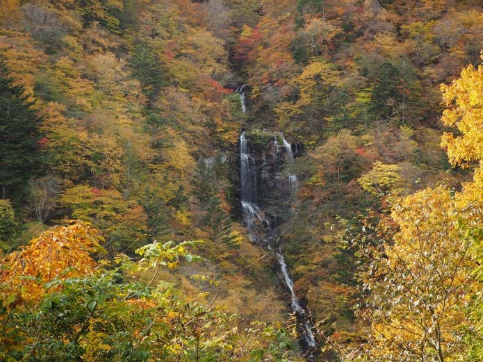 紅葉の山並みの中に楚々と落ちる滝が上品な蛇王の滝