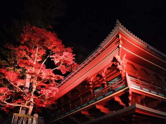 ライトアップNIKKO 2026