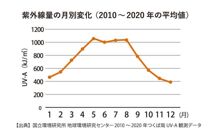 1年中降り注ぐ紫外線