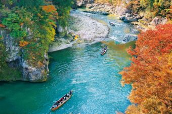 秋の日光を楽しむ絶景紅葉スポット